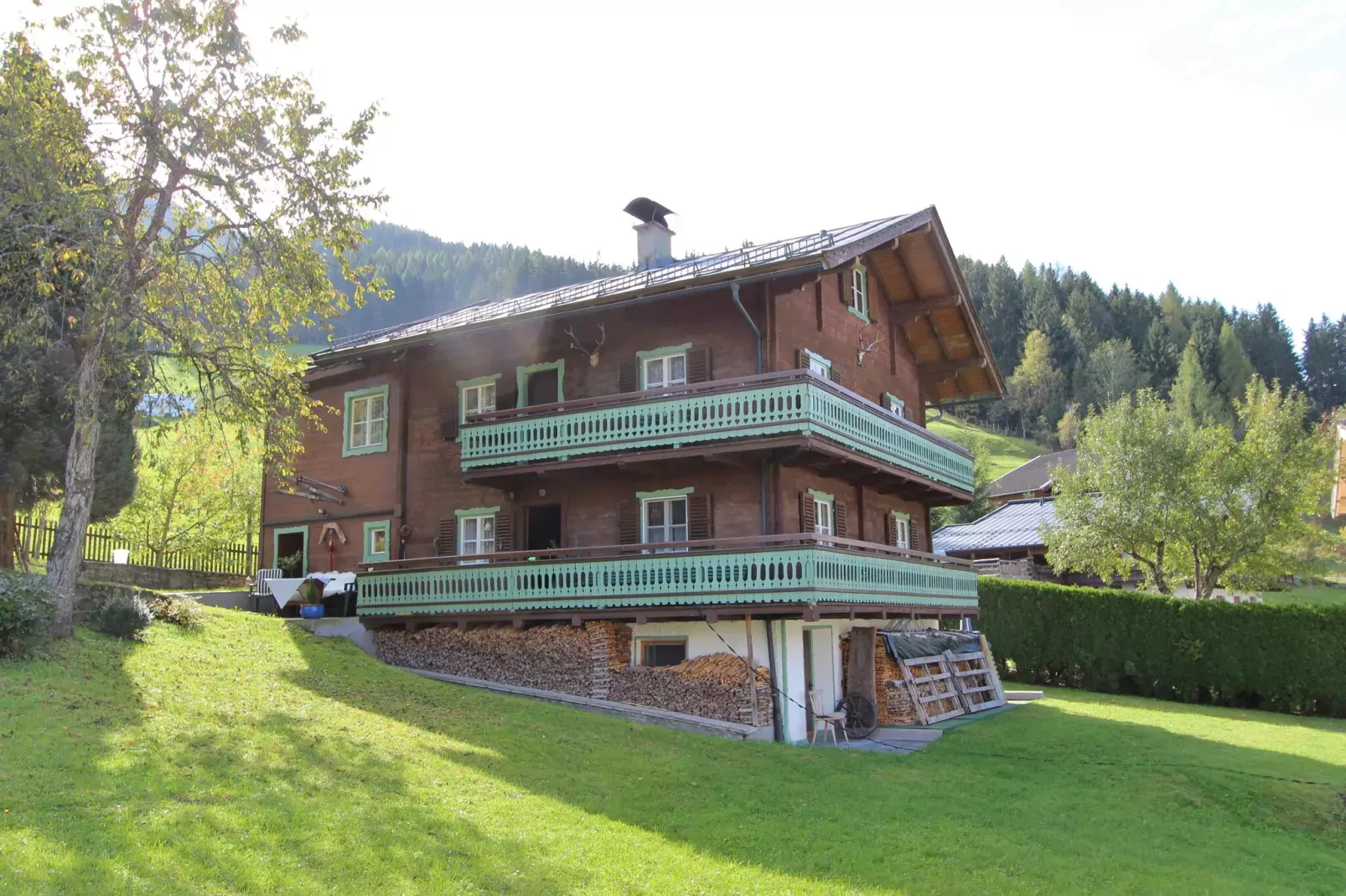 Chalet Anna Bramberg-Buitenkant zomer