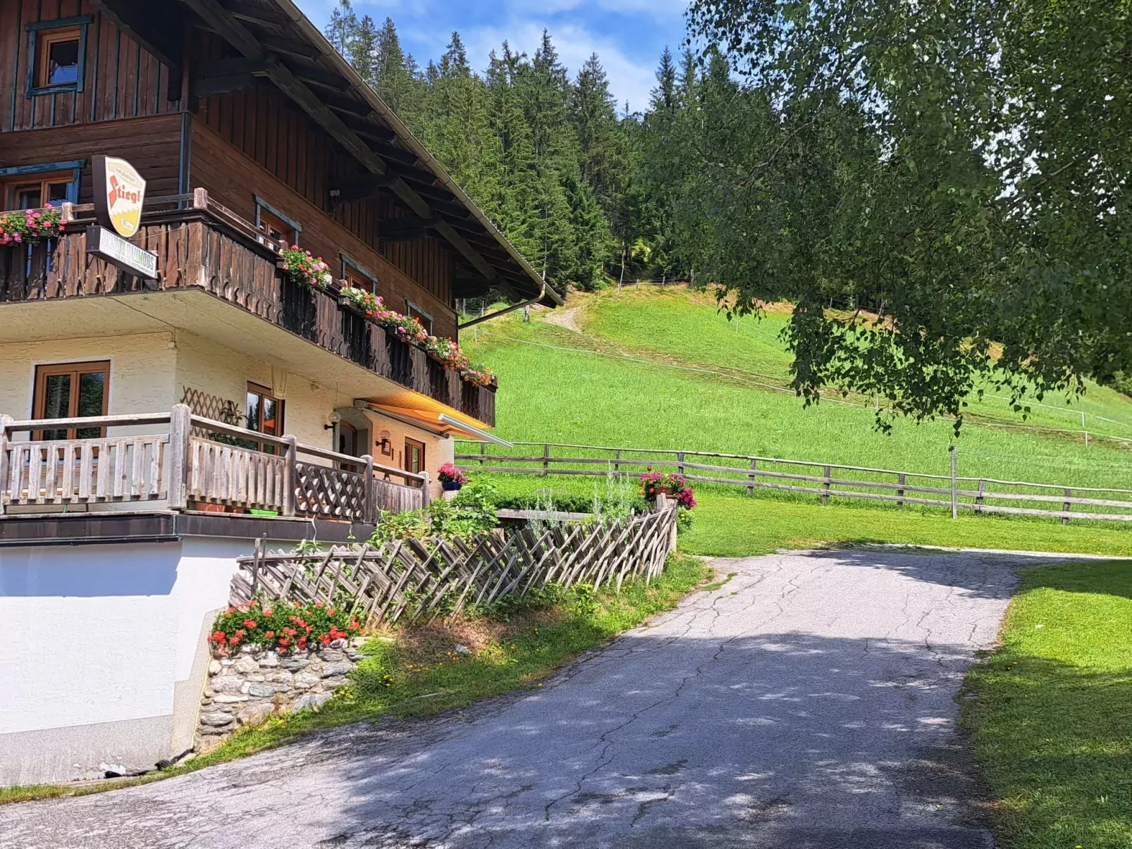 Bischofsmütze-Buiten