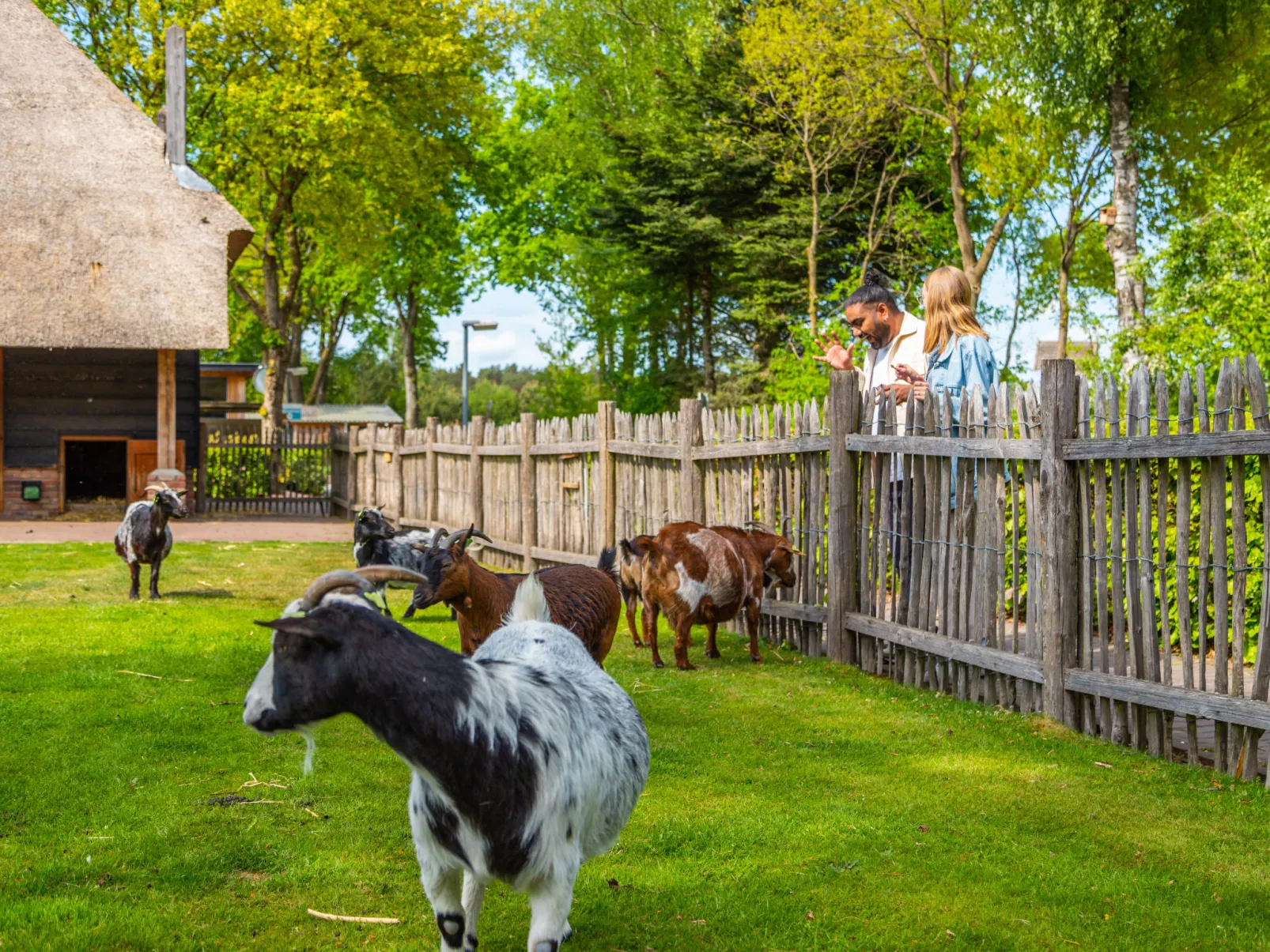 Boslodge 4-Buiten