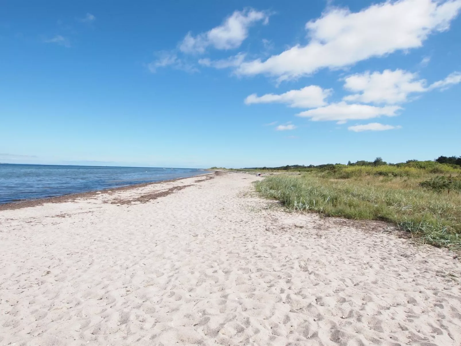 "Elisej" - 100m from the sea-Buiten
