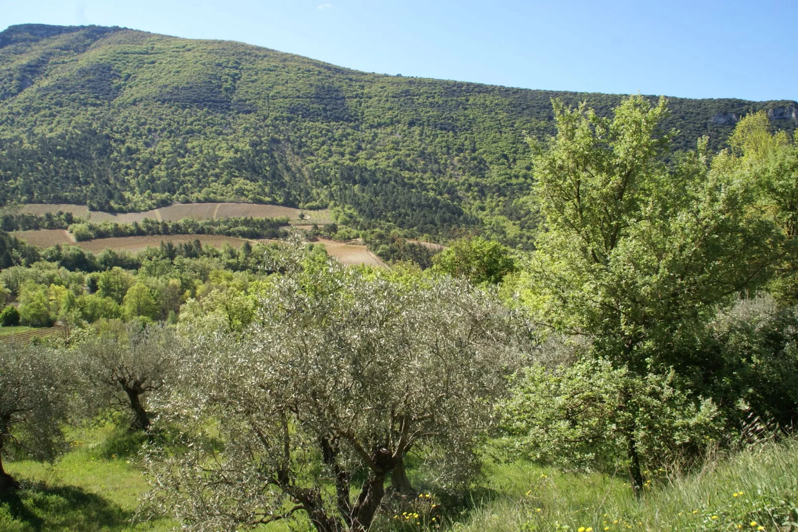 Studio - MONTBRUN-LES-BAINS