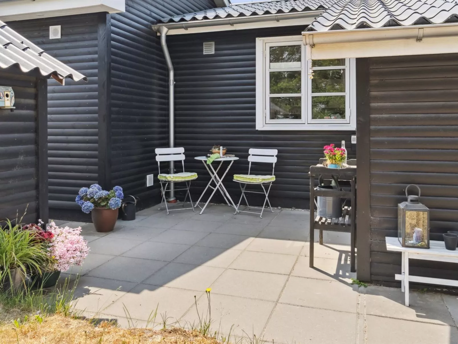 "Riekje" - 2.3km from the sea-Buiten