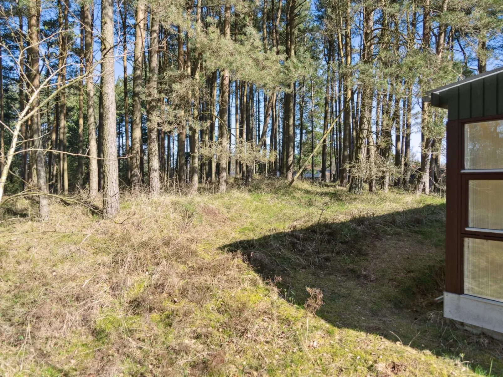 "Felicity" - 450m from the sea-Buiten