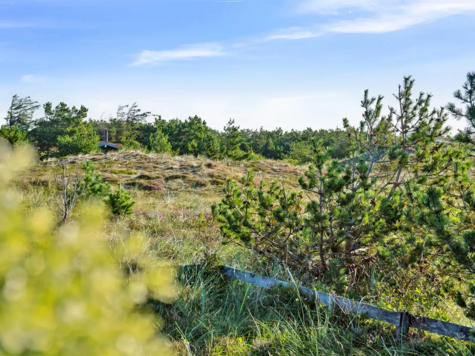"Blaguna" - 600m from the sea-Buiten