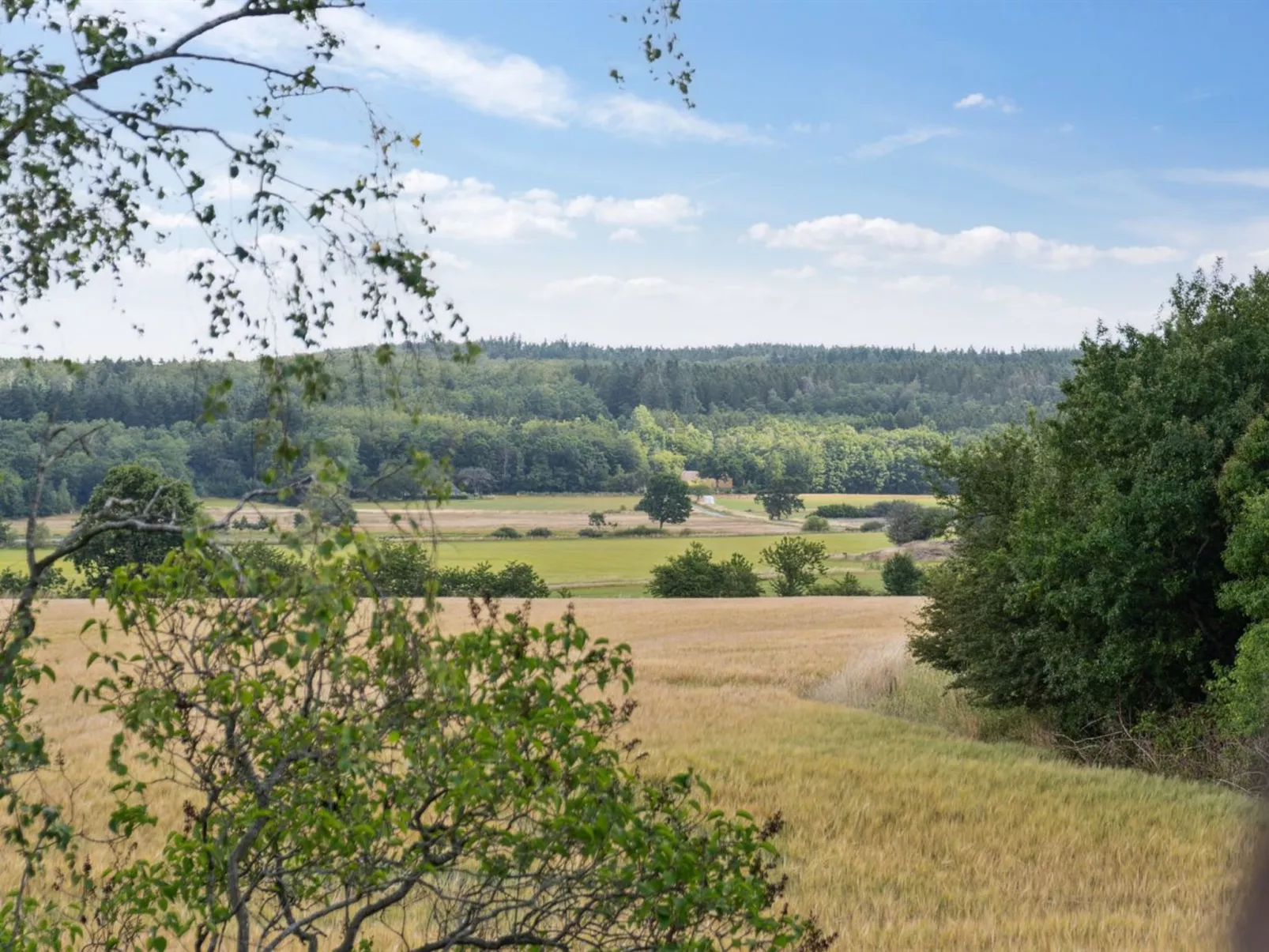 "Hansen" - 5.2km from the sea