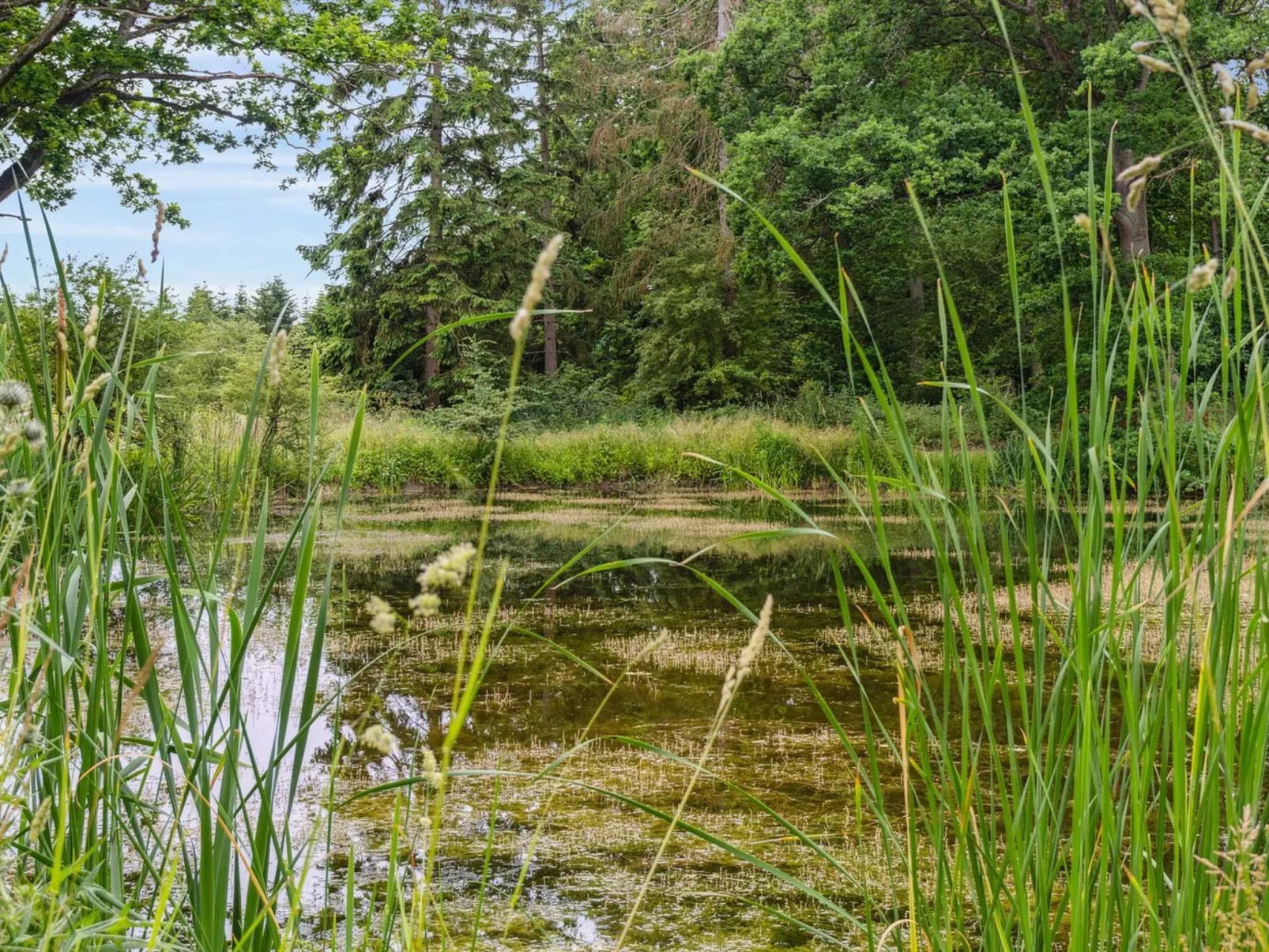 "Nell" - 3.2km to the inlet-Buiten