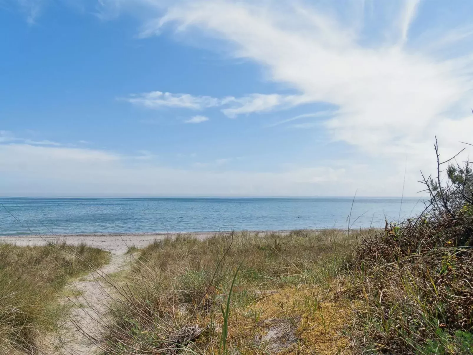 "Auke" - 100m from the sea-Buiten