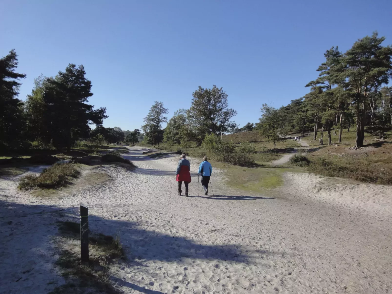 Velthorst Sauna 4-Buiten