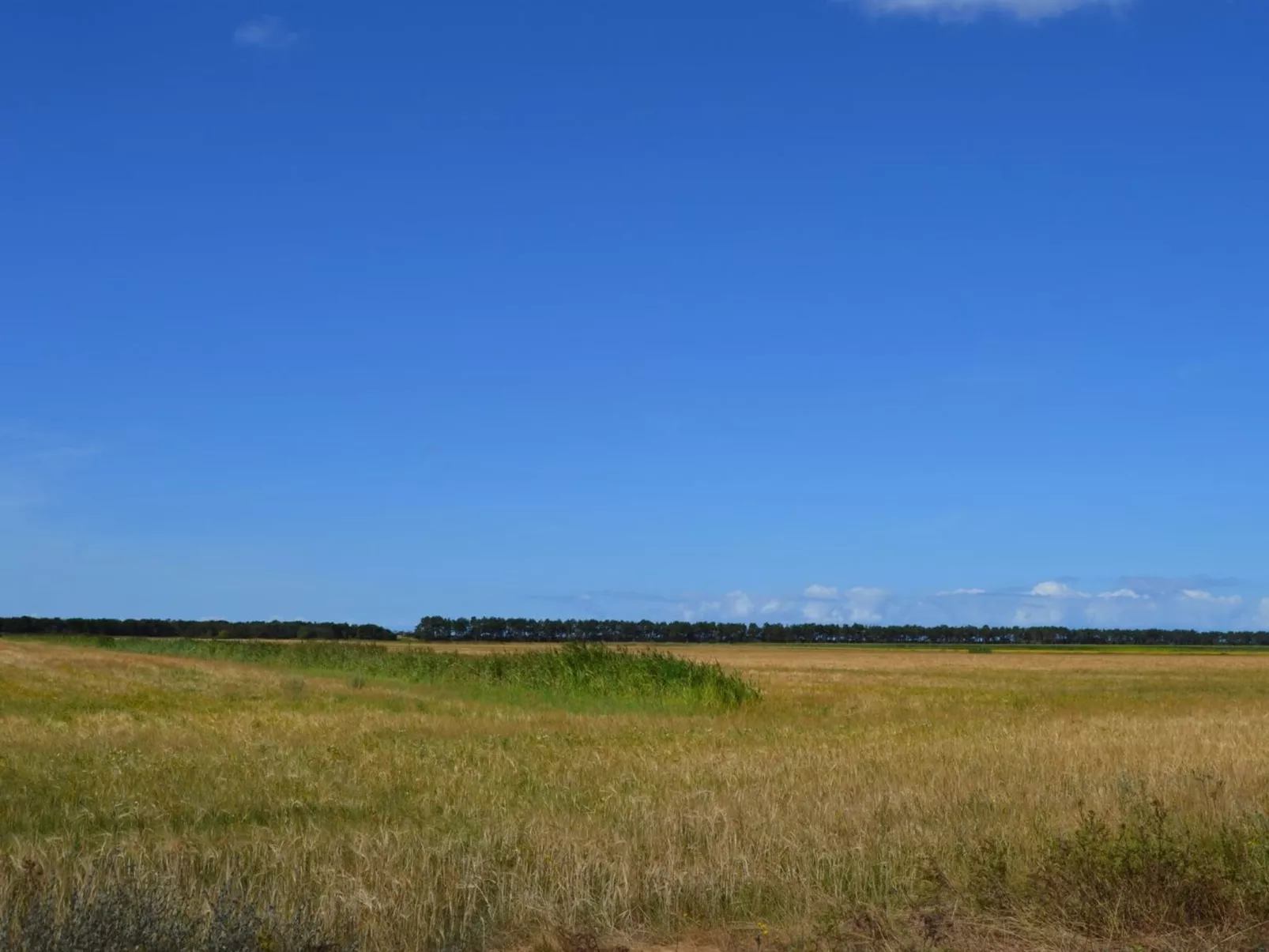 "Anna" - 1km from the sea-Buiten