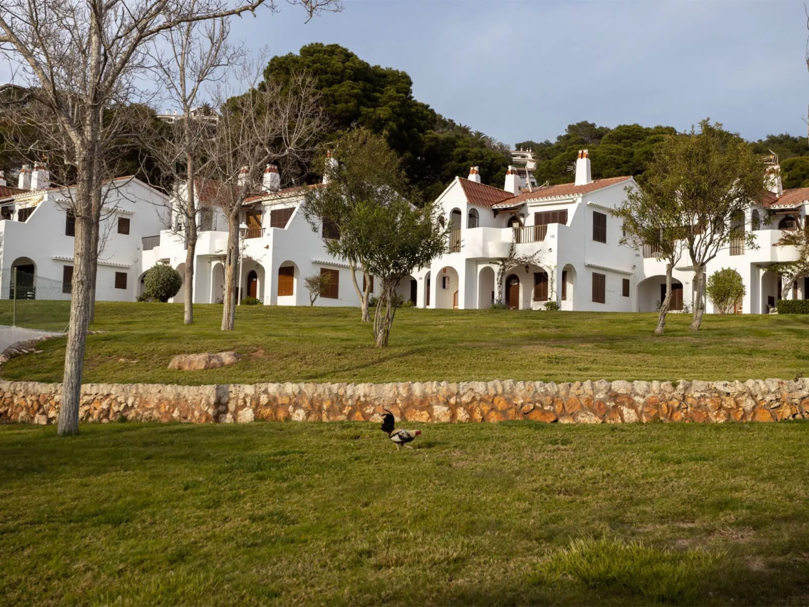Son Bou Gardens PLUS-Buiten