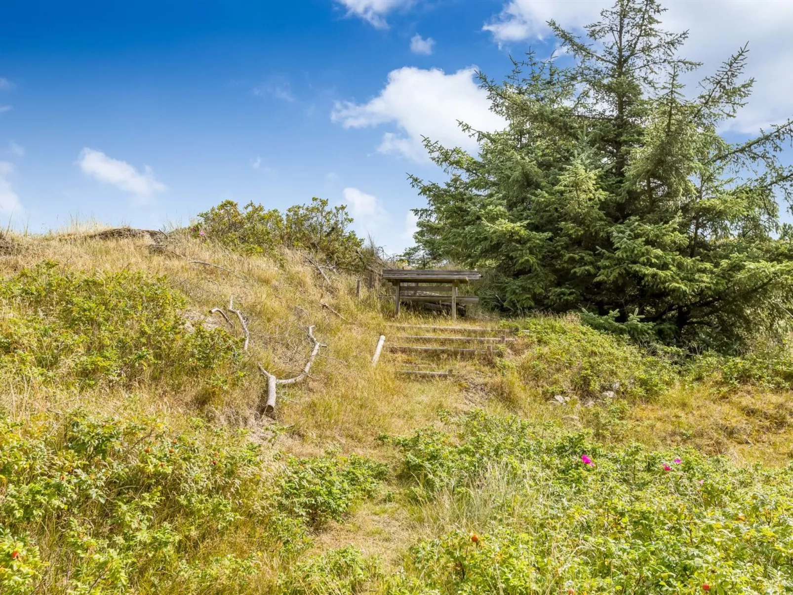 "Tineke" - 800m from the sea-Buiten