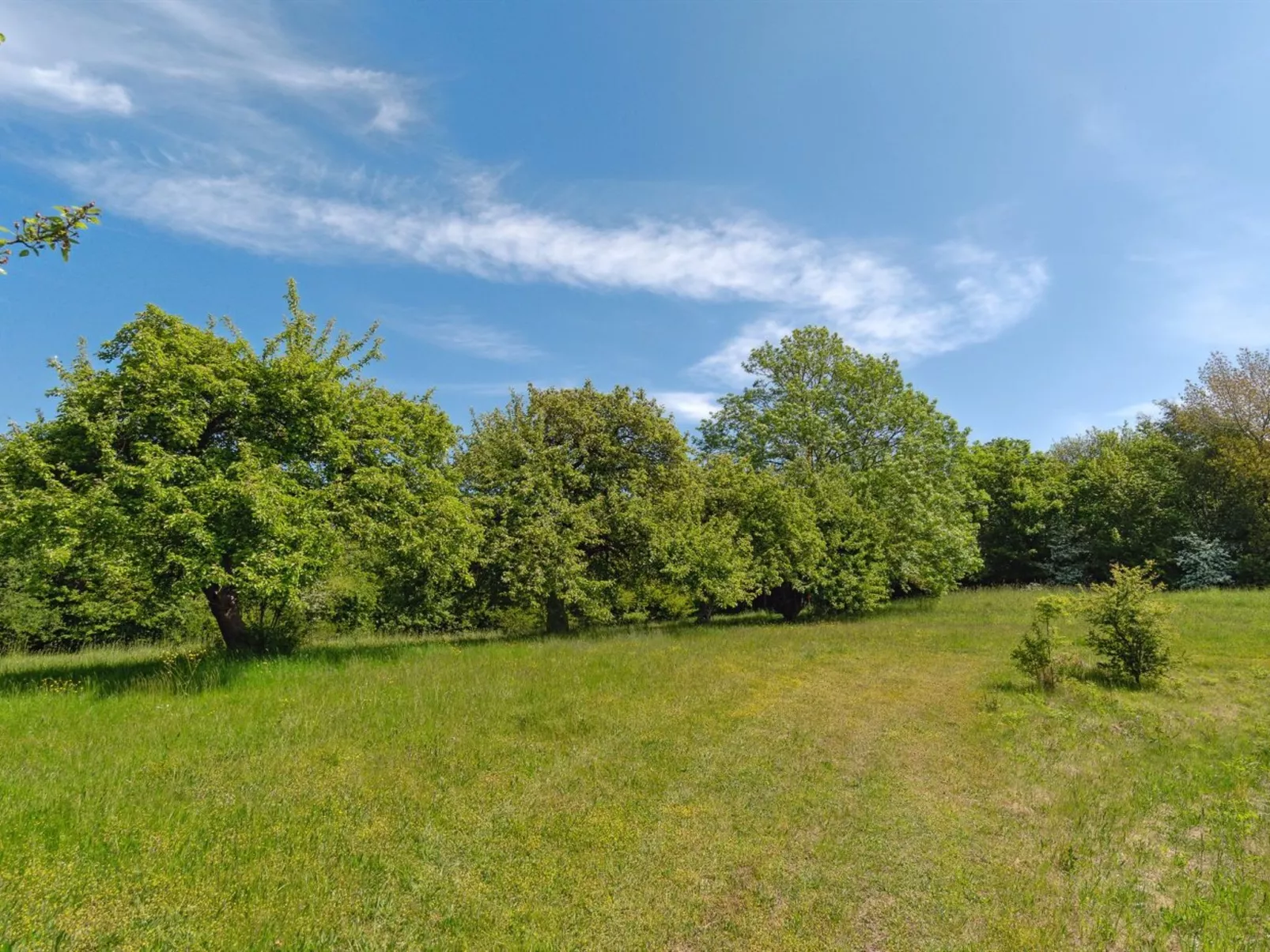 "Guthbrand" - 800m from the sea-Buiten