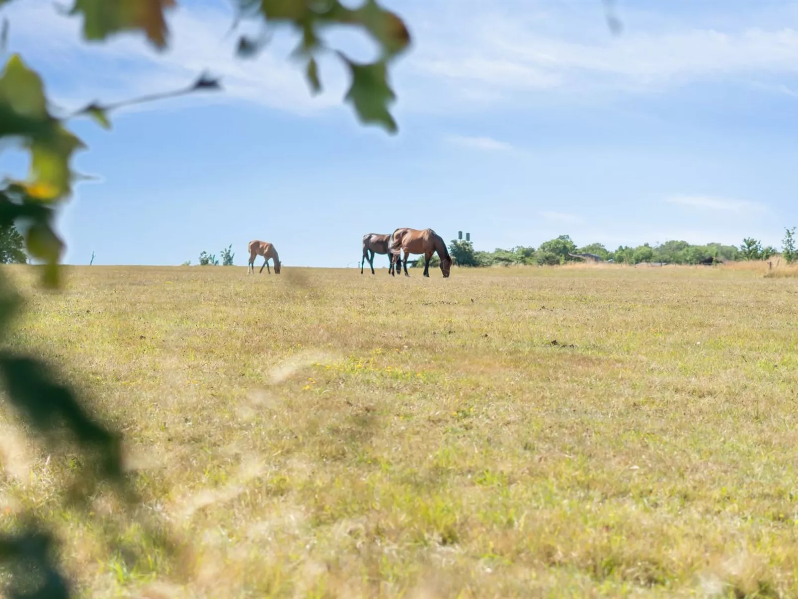 "Cornelia" - 6km from the sea-Buiten