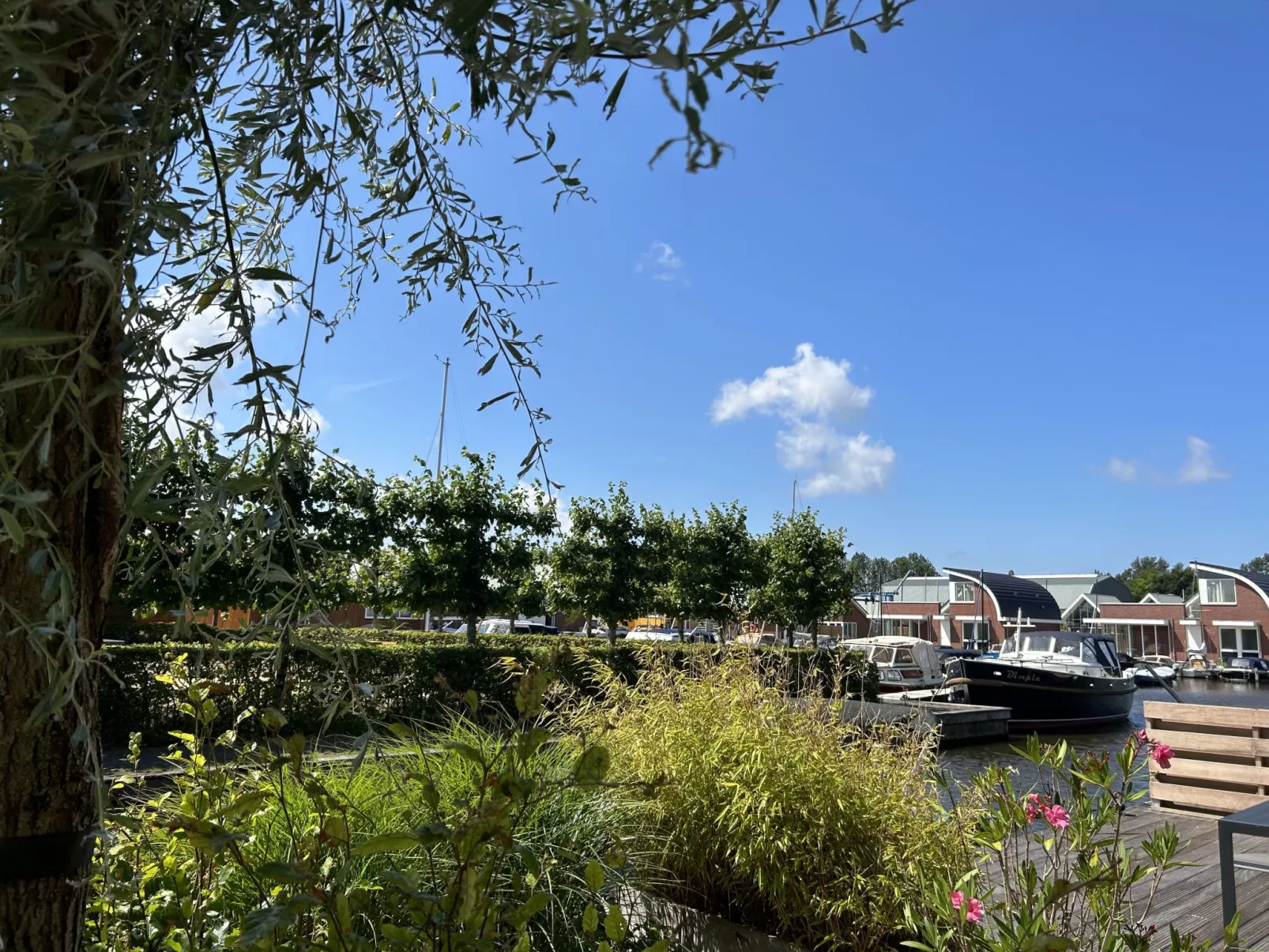 Busch en Dam-Buiten