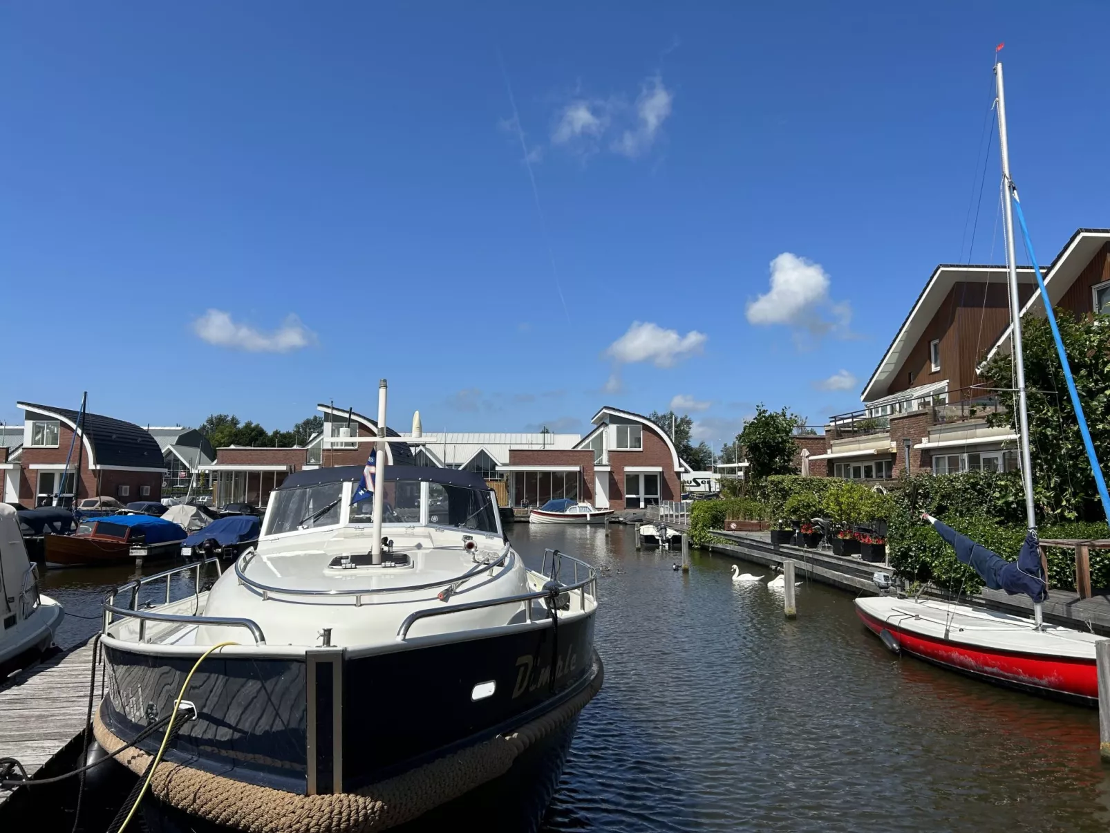 Busch en Dam-Buiten