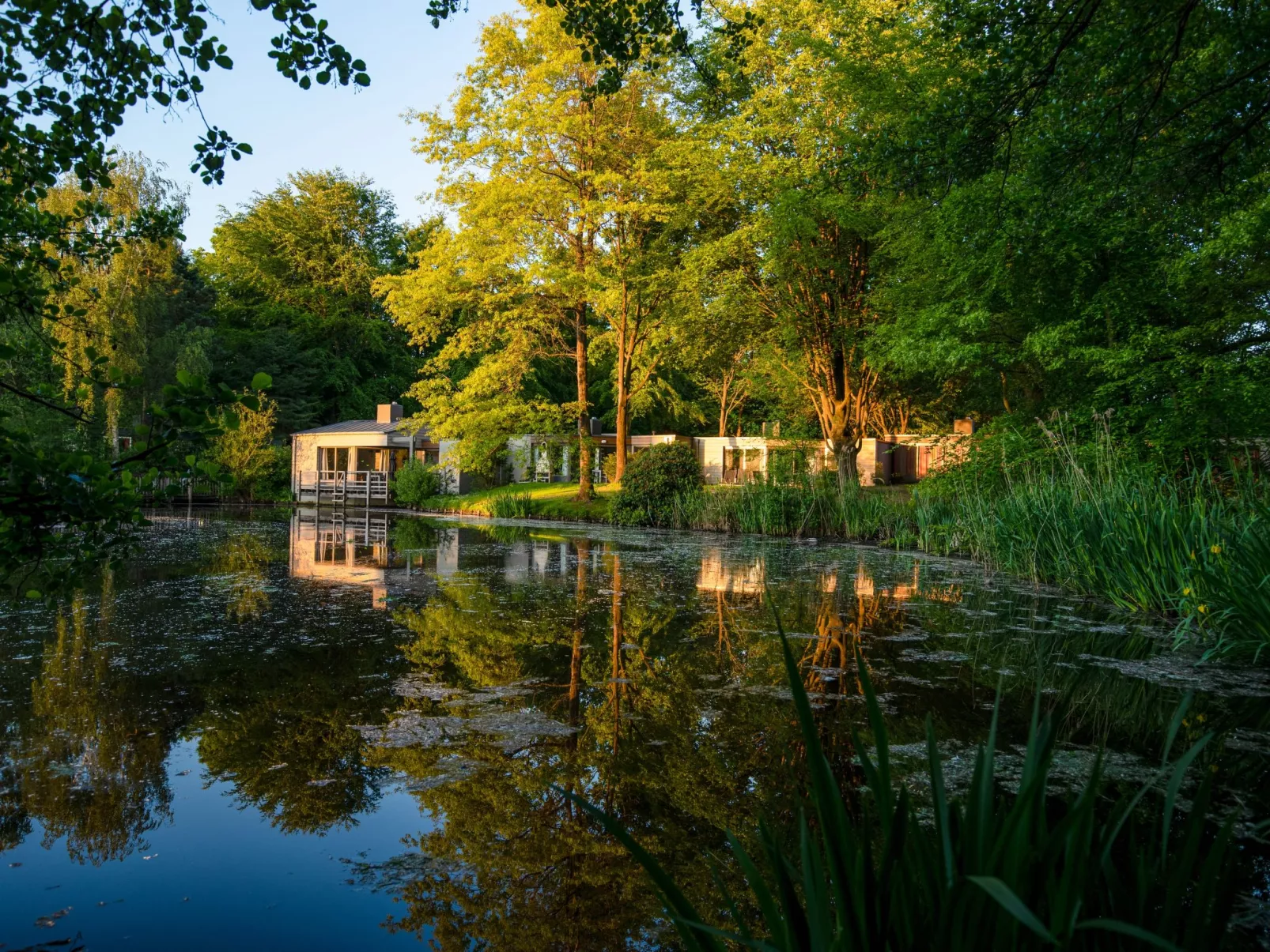 Comfort Cottage-Buiten