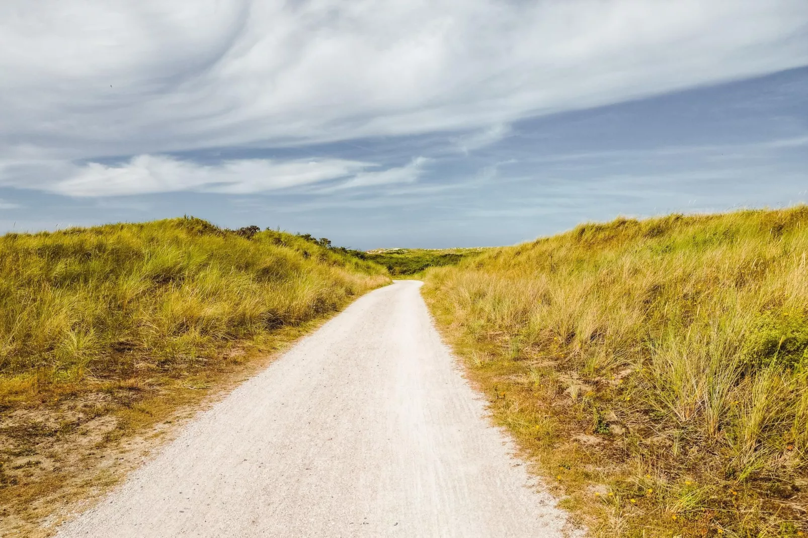 Sea Lodges Ameland 1-Gebieden zomer 5km