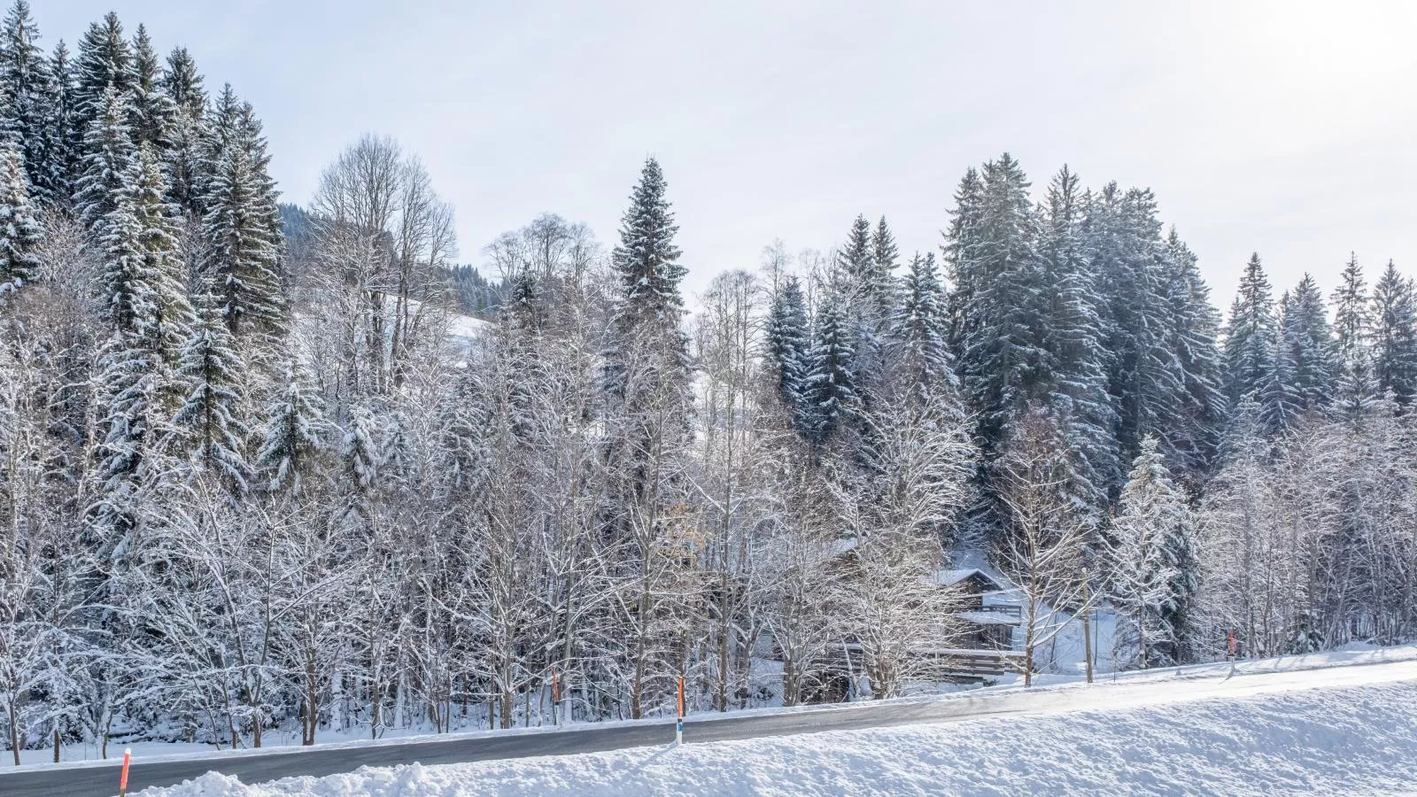 Blick auf den Rettenstein Top 2-Gebied winter 1km