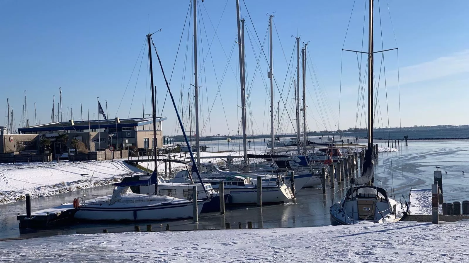 De Zeediek-Gebied winter 1km