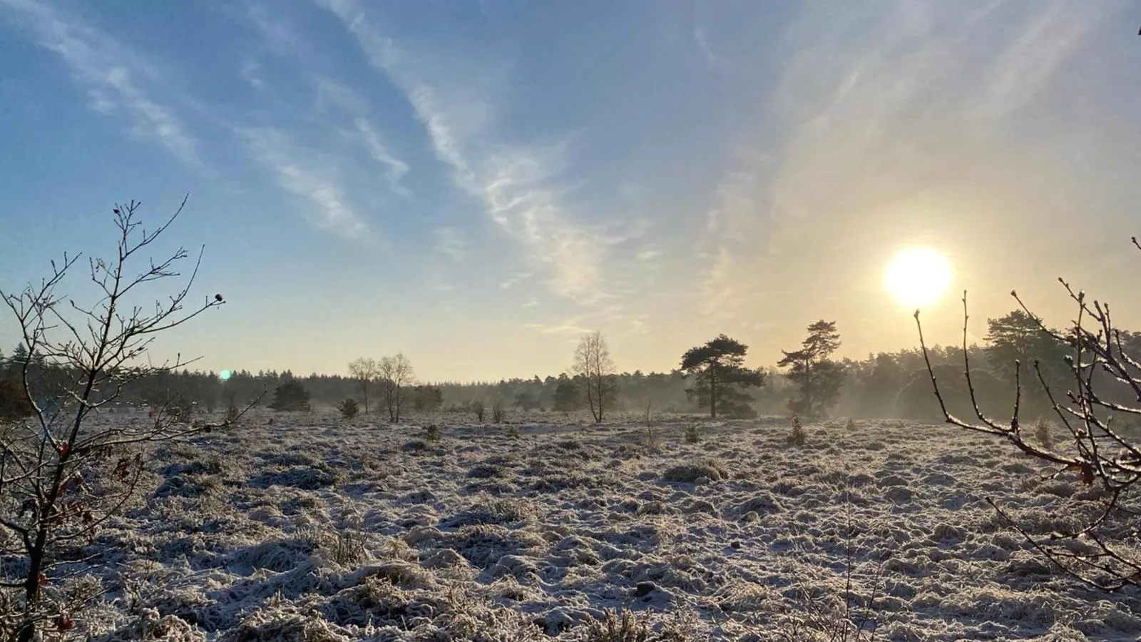 Abs Boerderietje-Gebied winter 5km