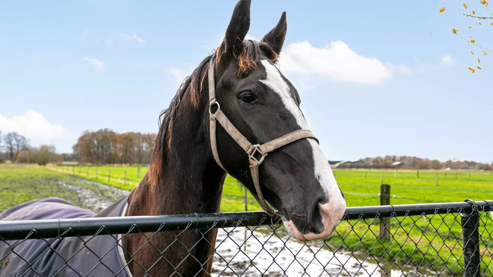 De Hoeve II-Sfeer