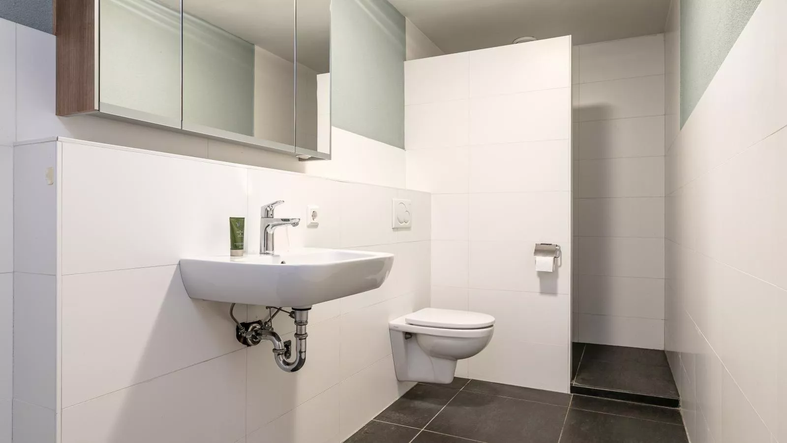 De Hoeve II-Badkamer