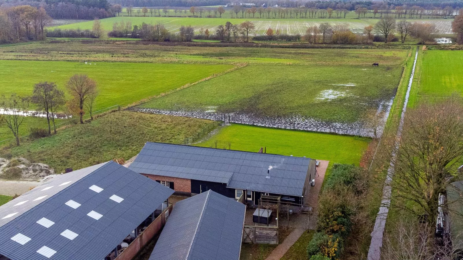 De Hoeve II-Gebieden zomer 1km