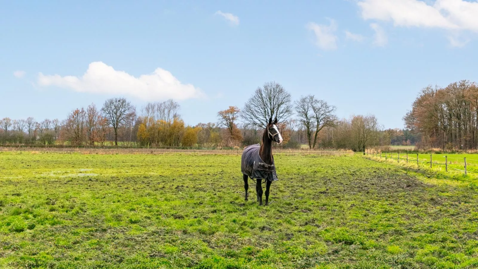 De Hoeve II-Gebieden zomer 1km