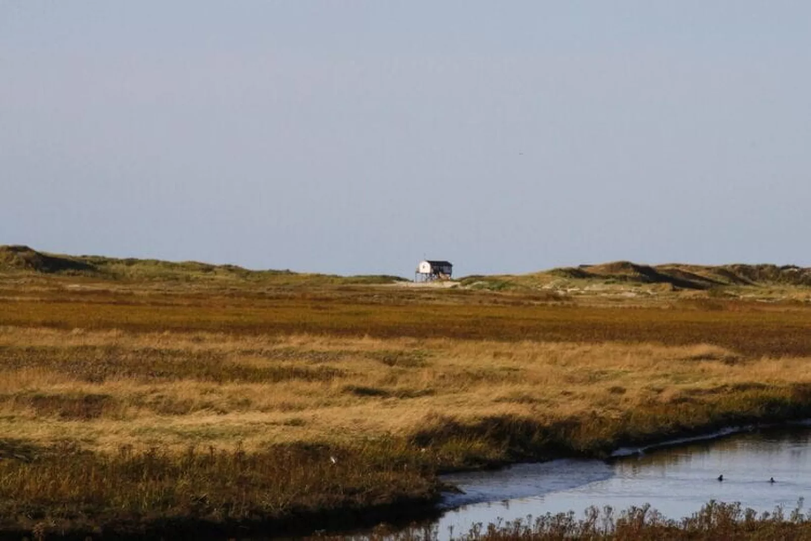 Reihenhaus Deichblick 2 Pers St Peter - Ording - Gebieden zomer 20km