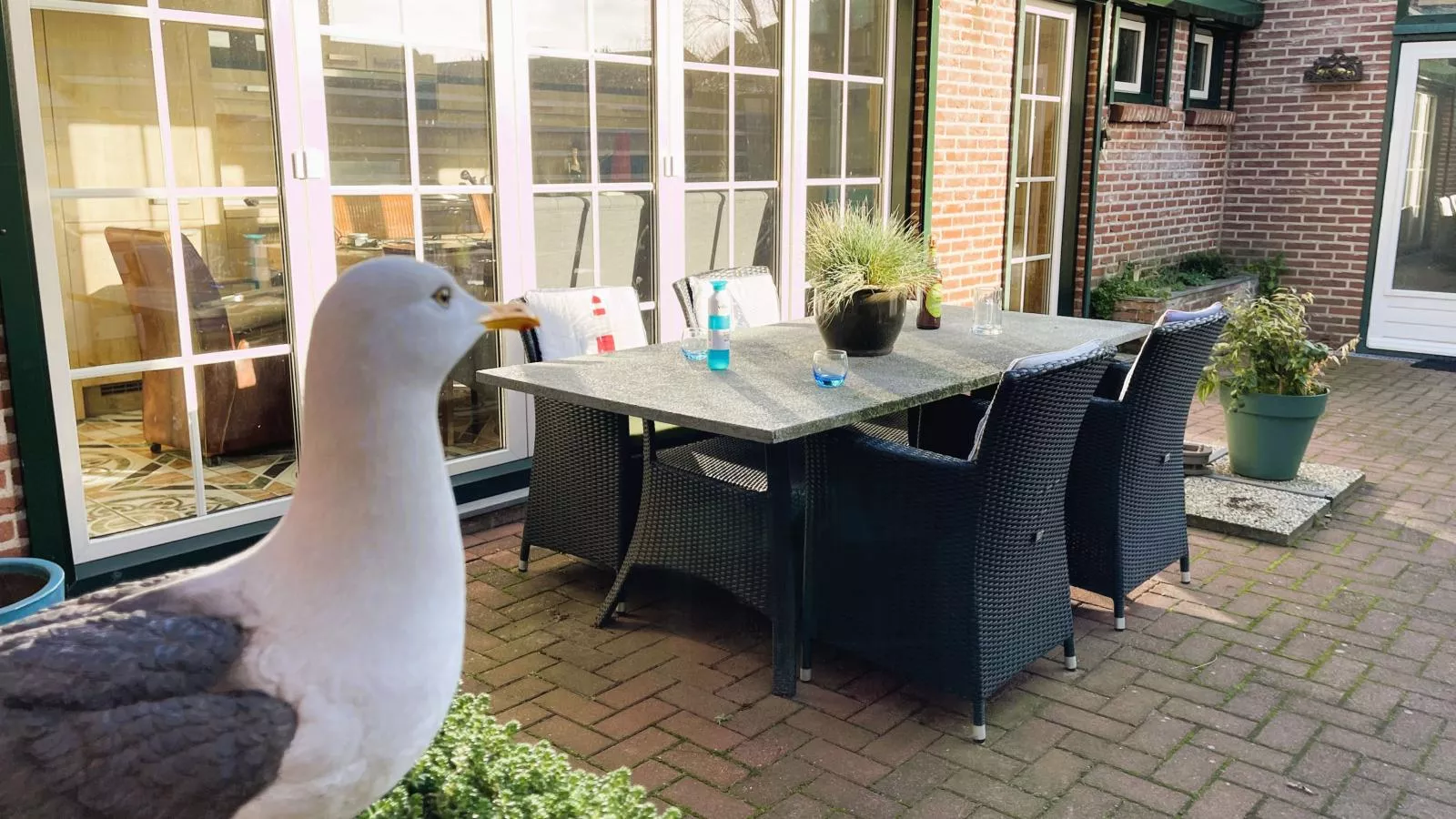 Driewaterpunt-Tuinen zomer