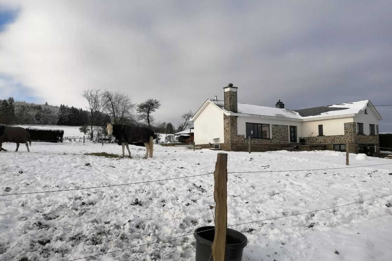Très belle habitation à Lierneux pour 5 adultes-Exterieur winter