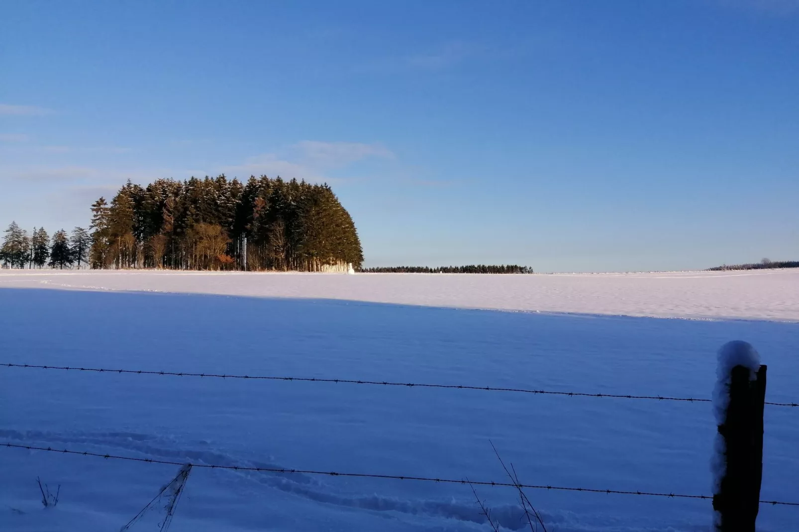 Très belle habitation à Lierneux pour 5 adultes-Gebied winter 20km