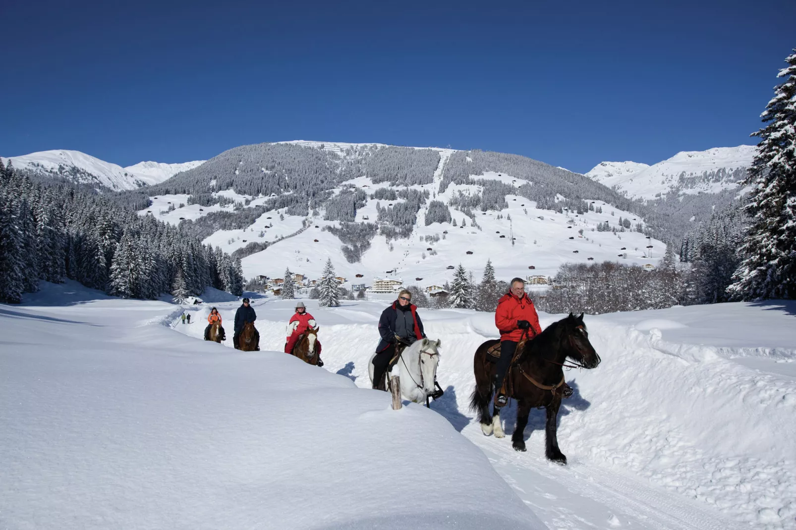Apartment Luxner - Gebied winter 5km