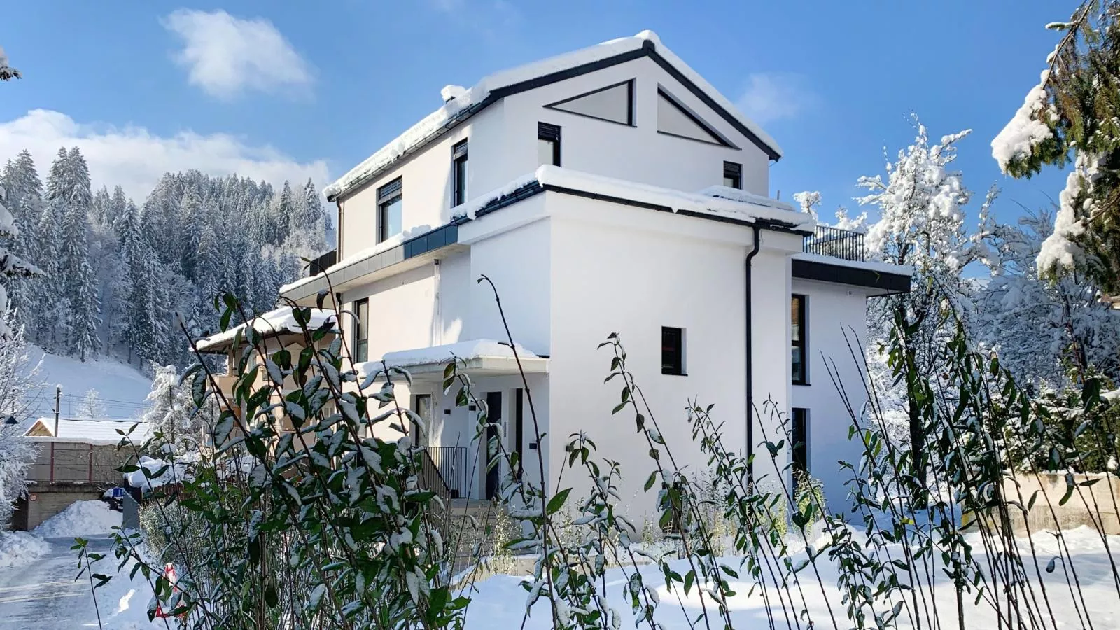Lukasfeld 9 Top Franz-Exterieur winter