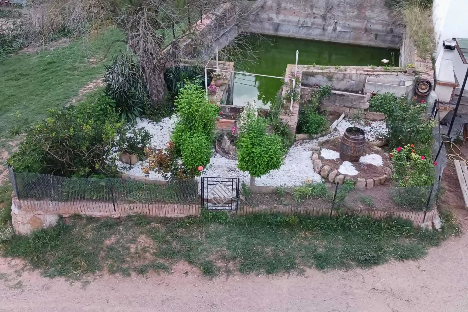 Mas Set Rengs 1-Gebieden zomer 1km