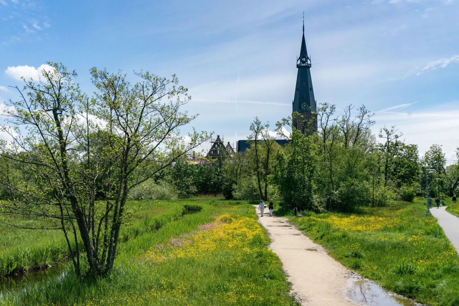 Resort Het Amsterdamse Bos 5-Gebieden zomer 20km
