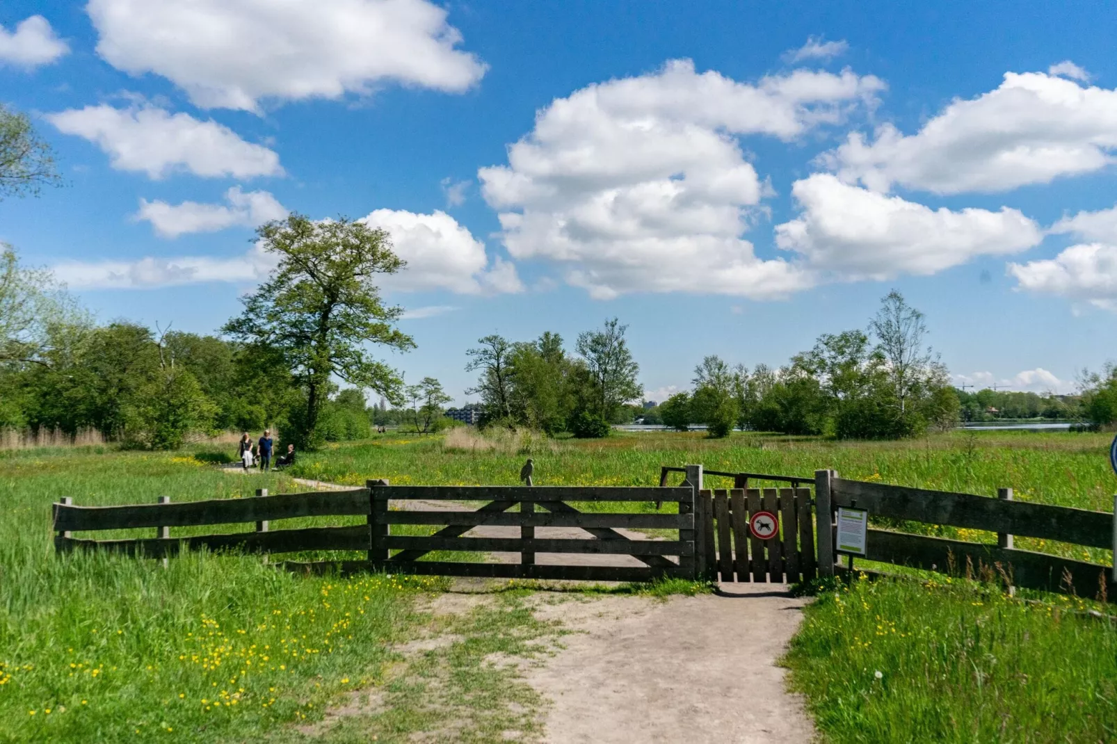 Resort Het Amsterdamse Bos 8-Gebieden zomer 5km