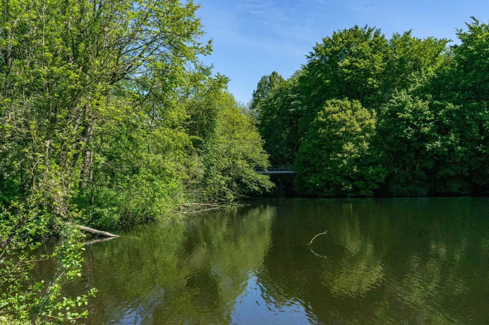 Resort Het Amsterdamse Bos 8-Gebieden zomer 1km