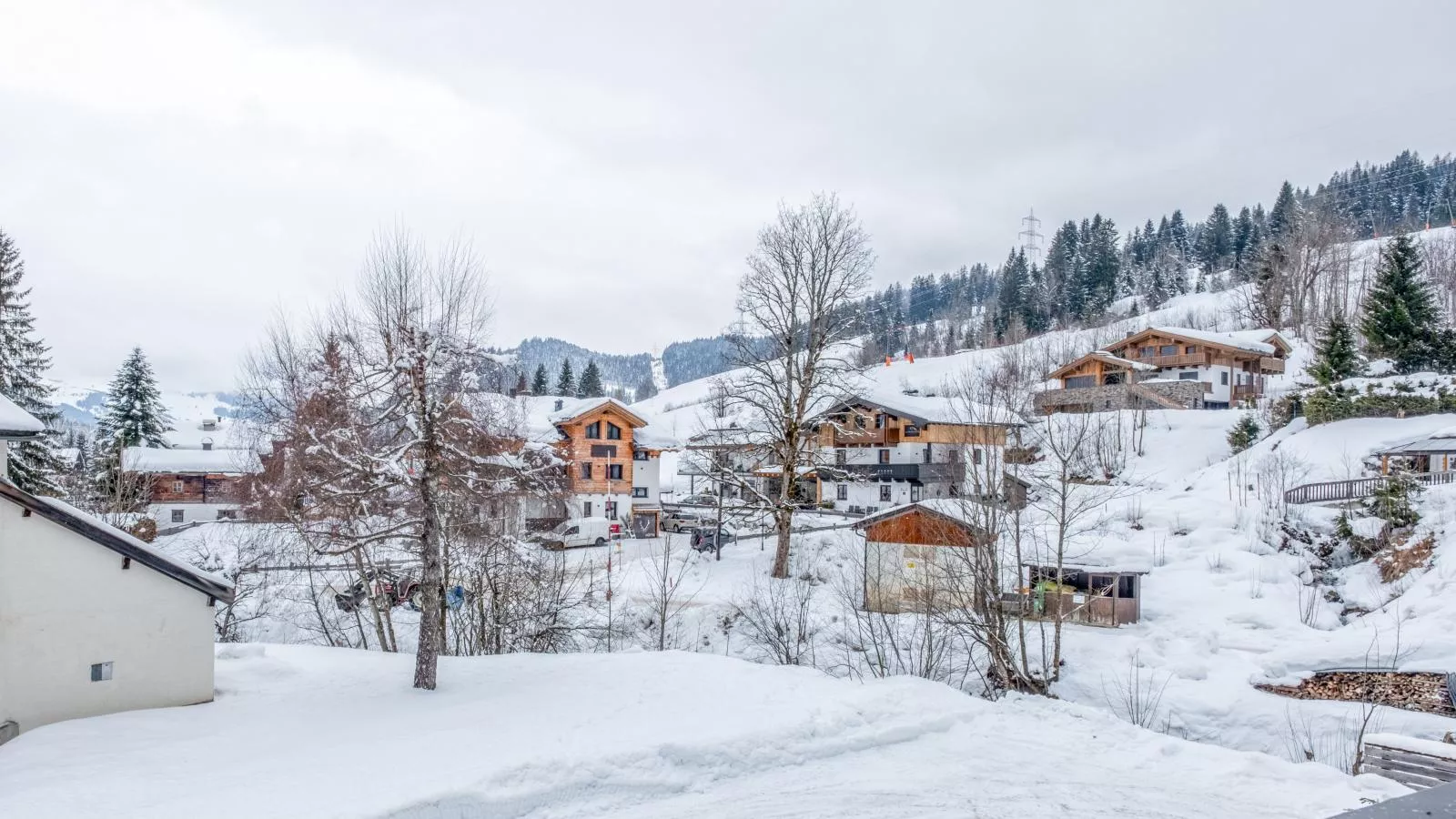 Edelweiss top 7-Uitzicht winter