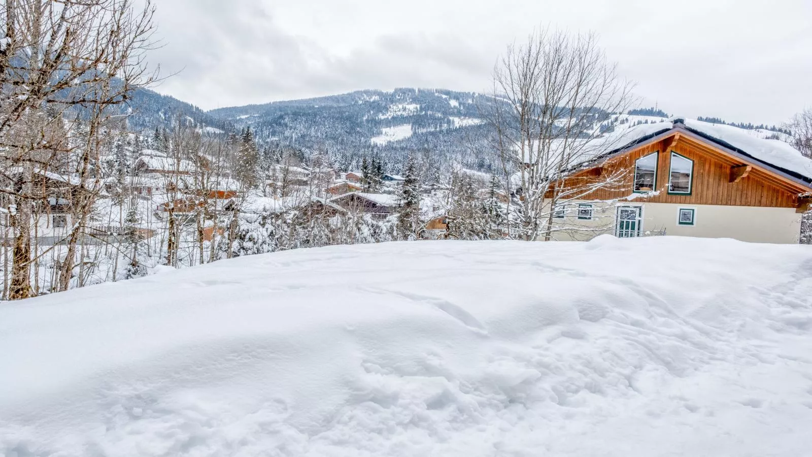 viewwinter