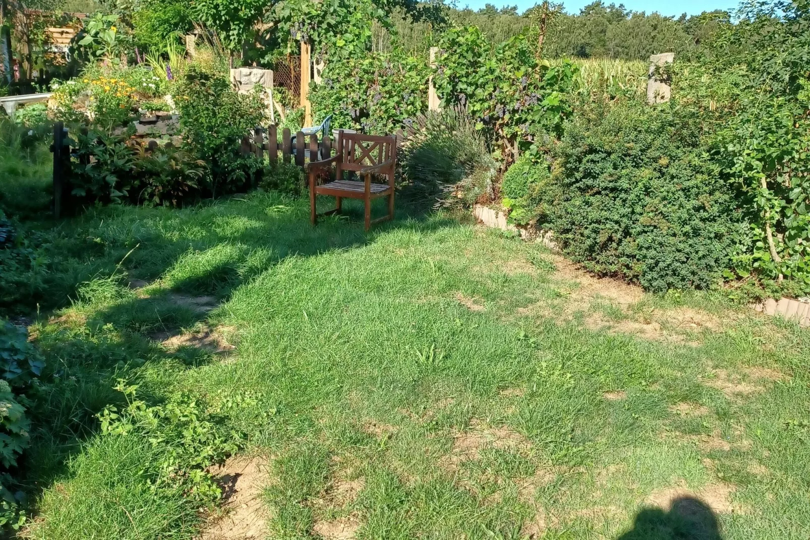 Hundefreundliches Ferienhaus am See MIT Whirlpool-Tuinen zomer