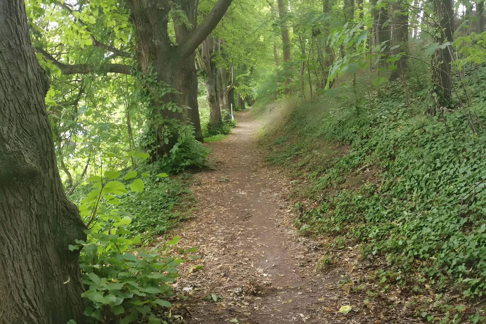 Mobilheim am Goldberger See-Gebieden zomer 5km