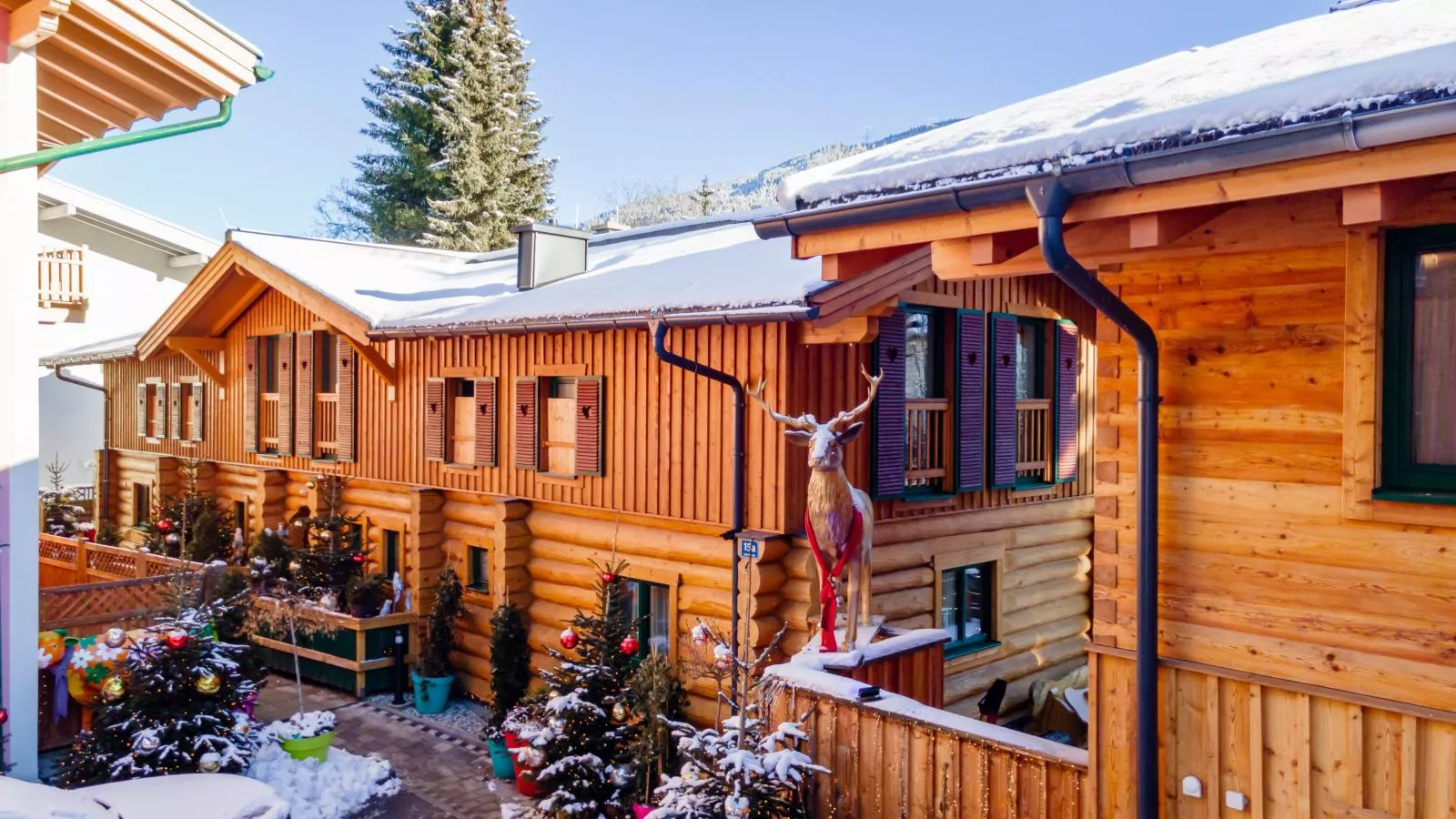 Adventure Lodge Kaprun-Exterieur winter