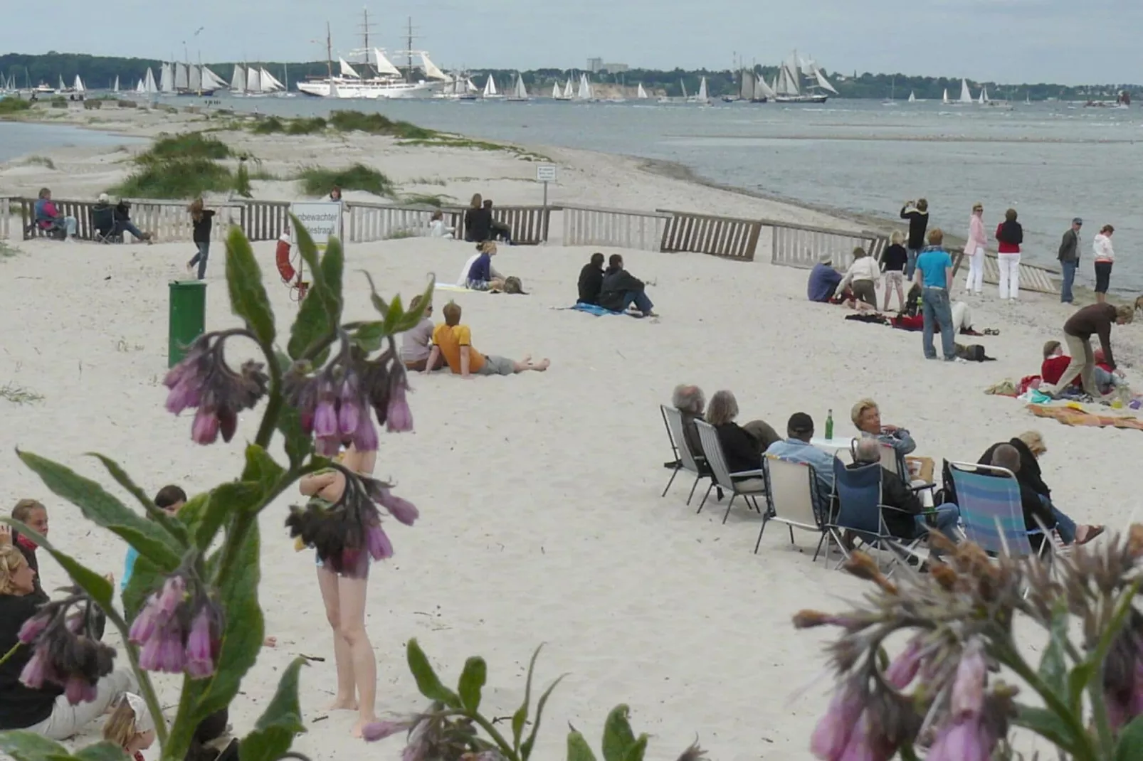 20202-Uitzicht zomer