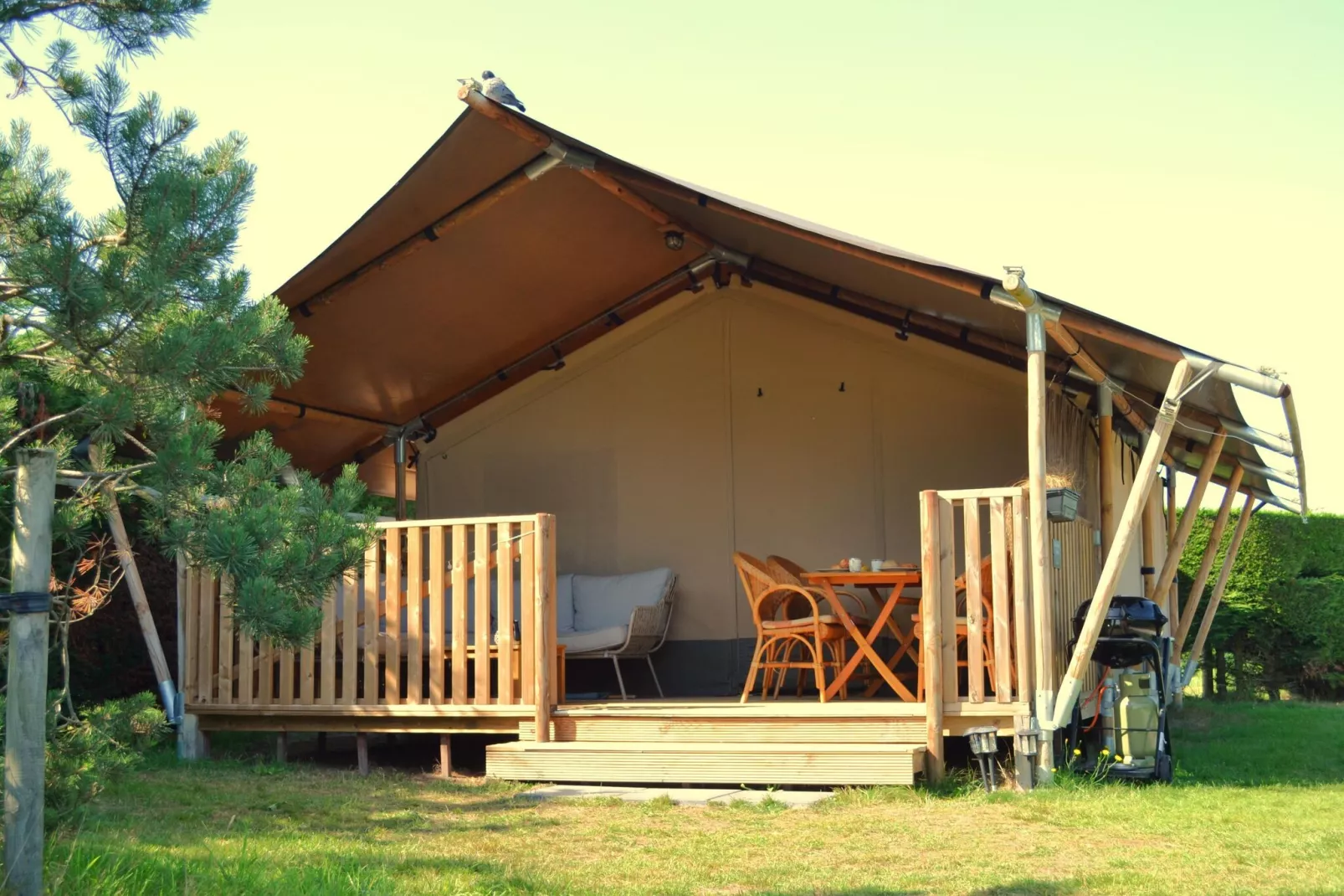 Luxe safaritent op Ameland-Buitenkant zomer