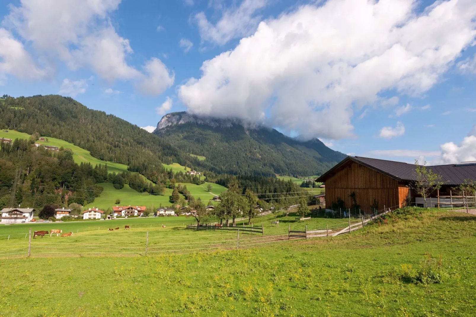 Horngacher-Gebieden zomer 5km