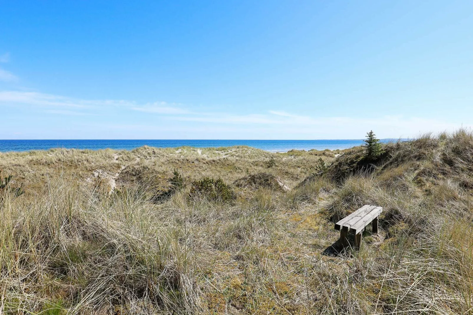 8 persoons vakantie huis in Ålbæk-Uitzicht