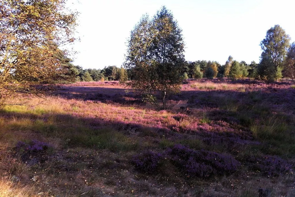 134796-Niet-getagd