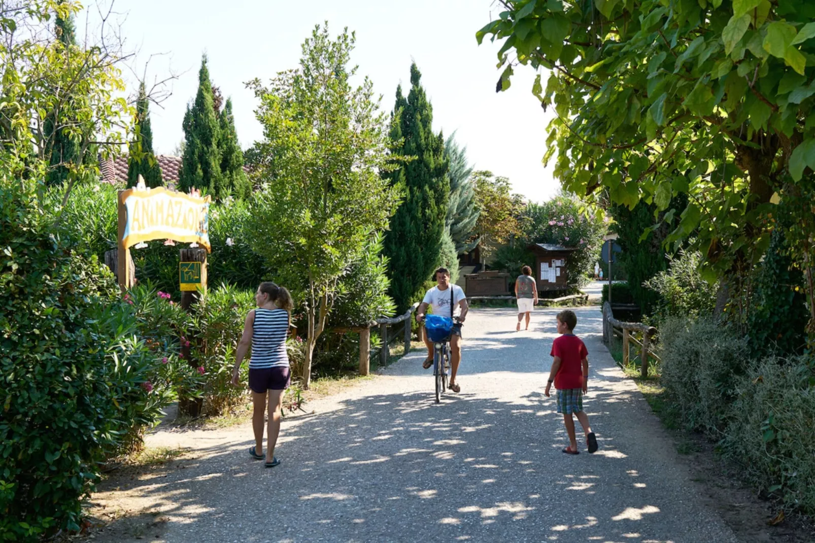 Camping Paradiso Viareggio 1-Gebieden zomer 1km