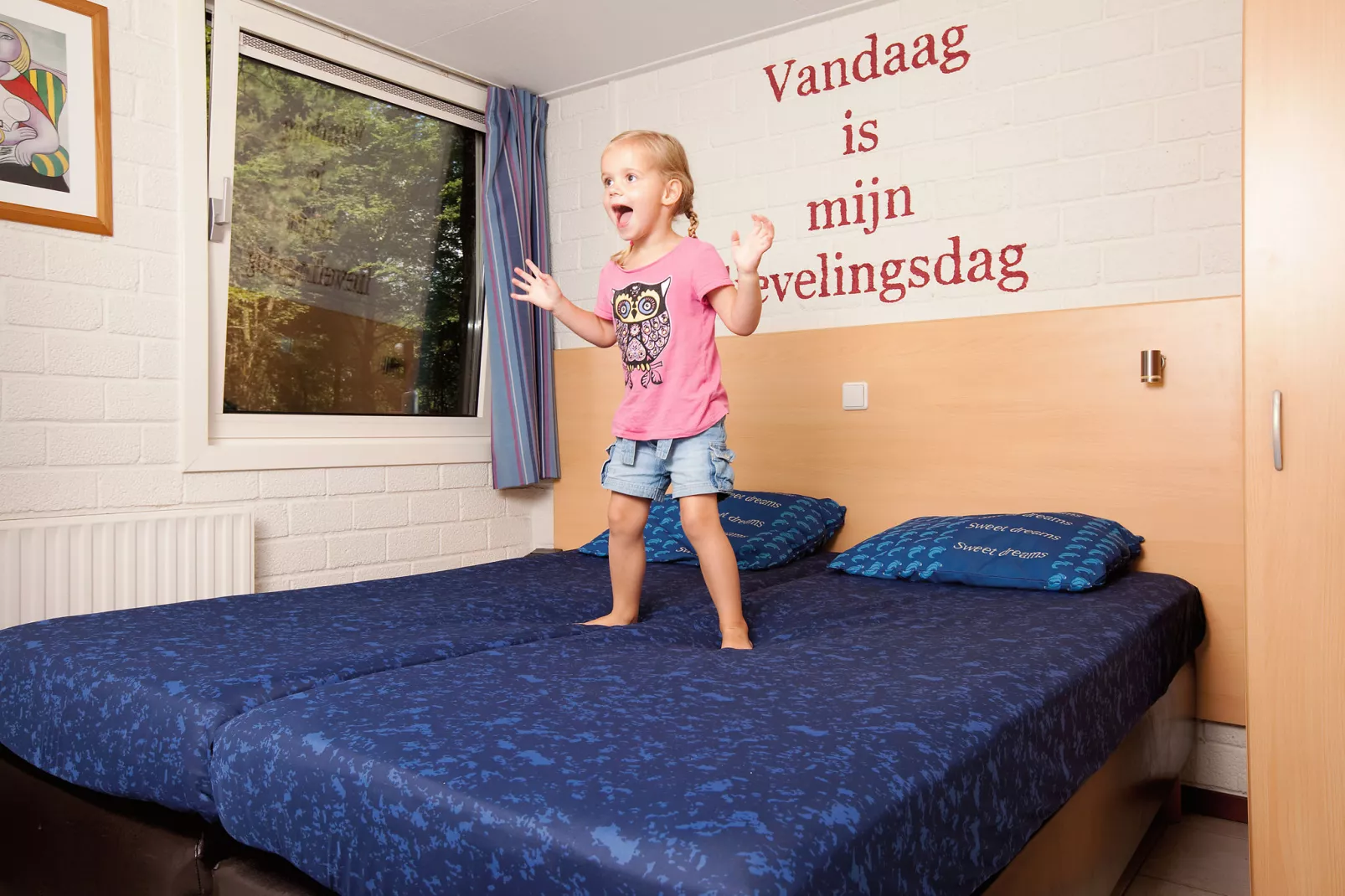 Vakantiepark de Berkenhorst 4